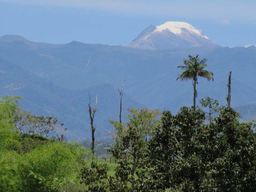 Finca El Topacio room 2