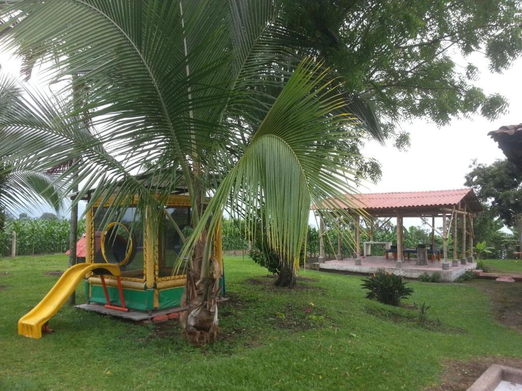 Finca La Camelia room 5