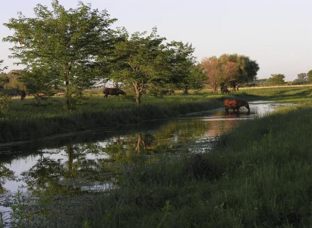 Finca Santo Pietro room 6