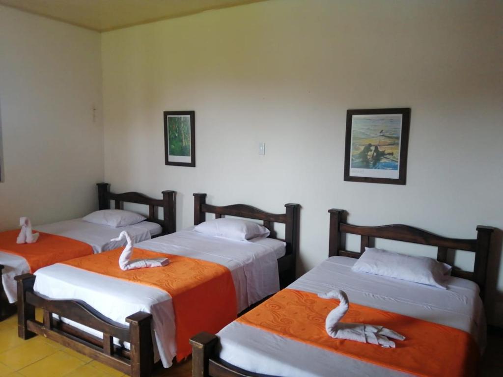 Finca Turística El Rocío room 6