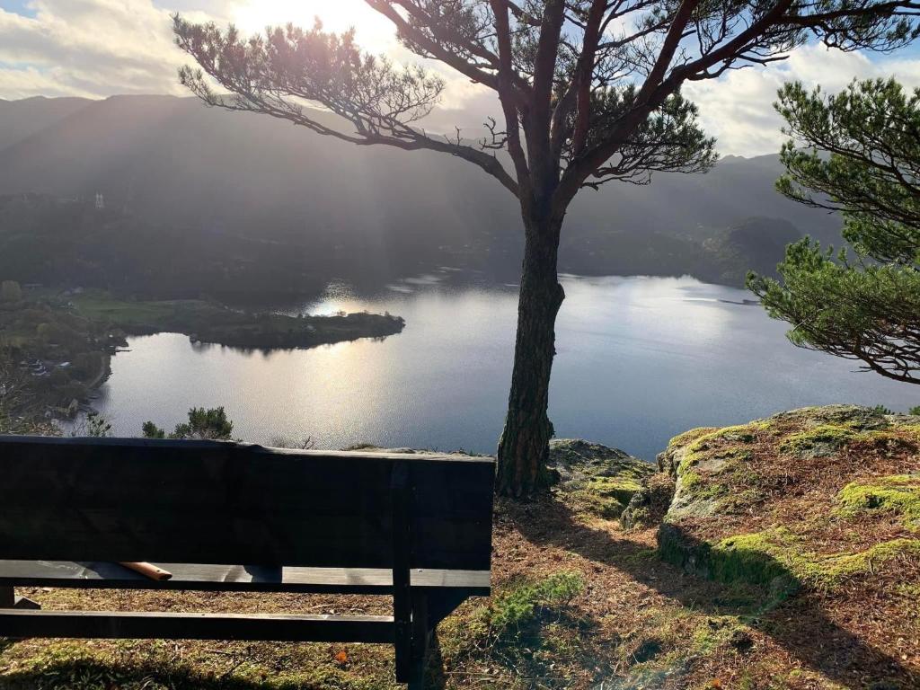 Fjord Road Studio room 1