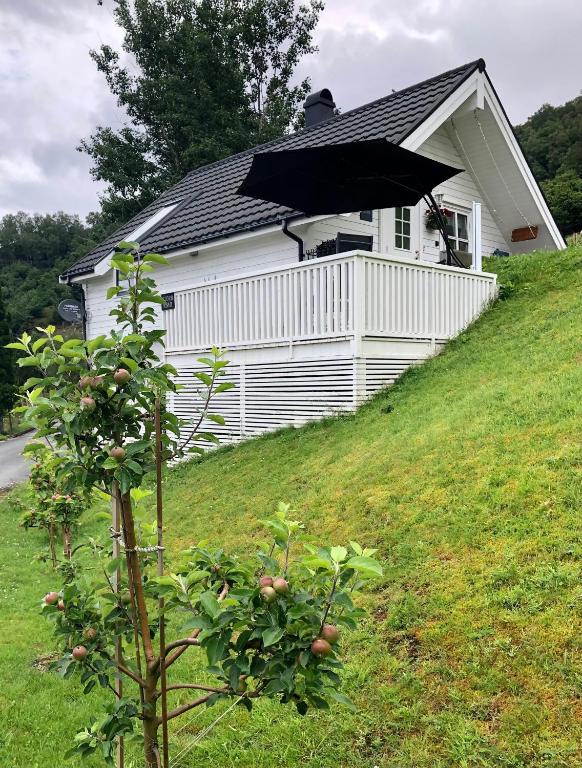 Fjord Road Studio room 2