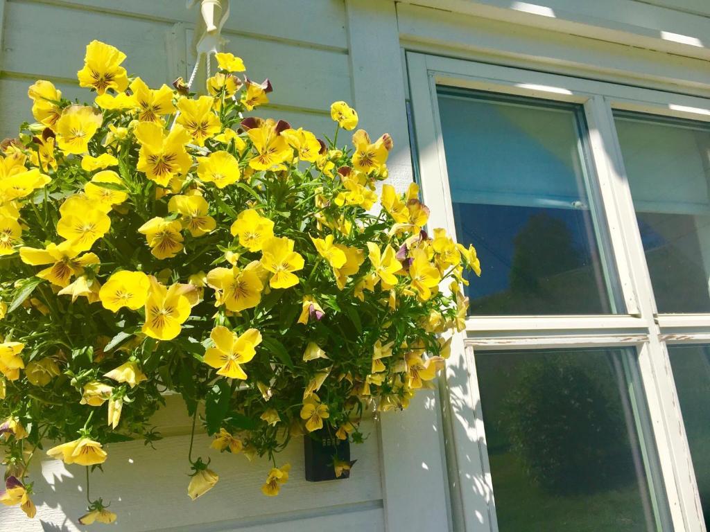 Fjord Road Studio room 5