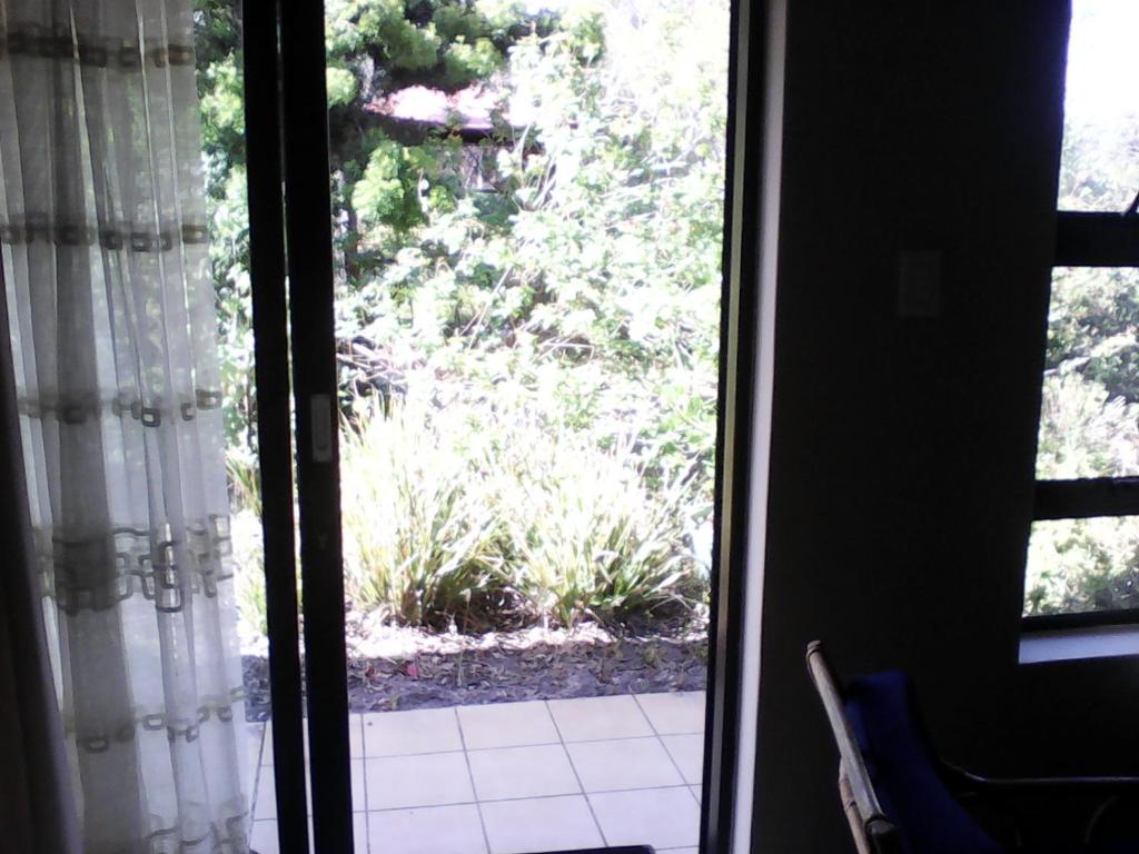 Forest Cove Cottage room 1