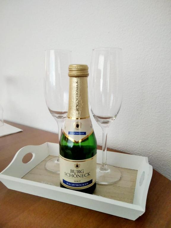 Forest Park Accommodation & Wellness room 5