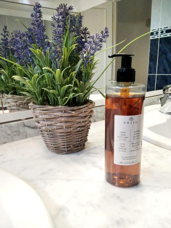 Forest Park Accommodation & Wellness room 6