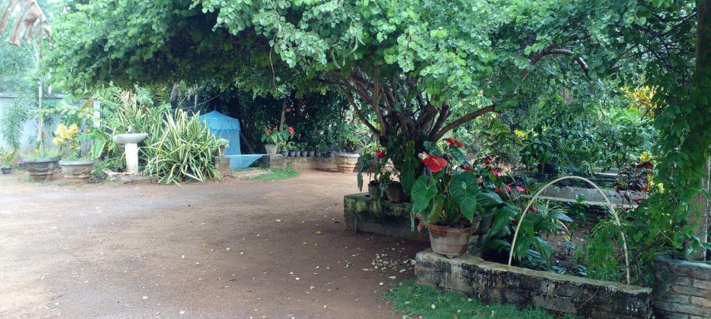 Fun Night Sigiriya room 5