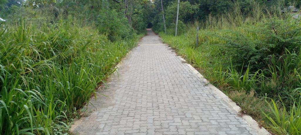 Fun Night Sigiriya room 6