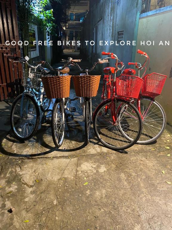 Golden Soulmate Homestay room 2