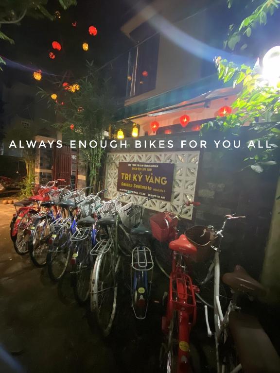 Golden Soulmate Homestay room 3