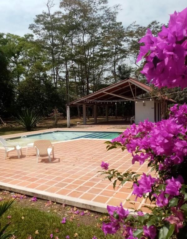 Granja-Hotel La Dacha room 4