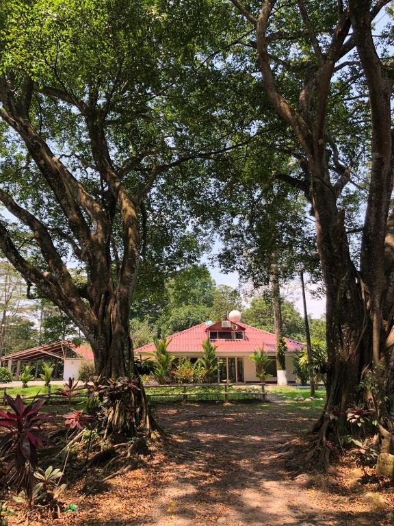 Granja-Hotel La Dacha room 6