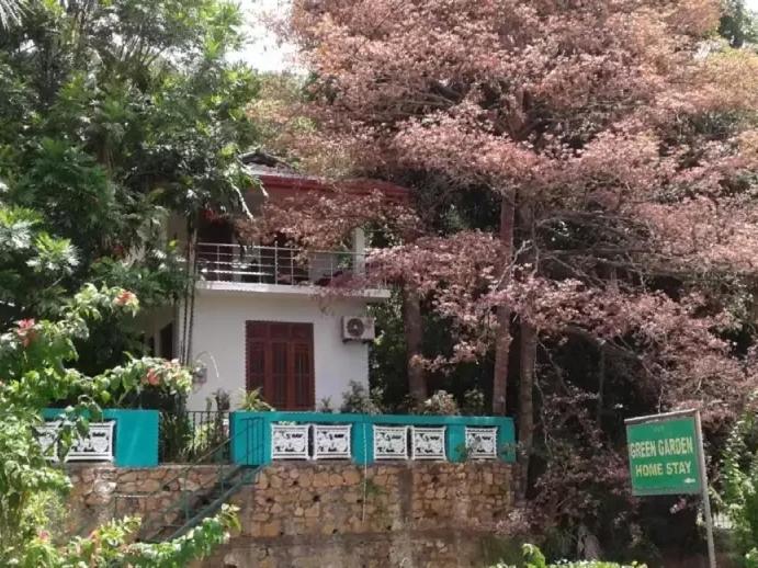 Green Garden Homestay room 2