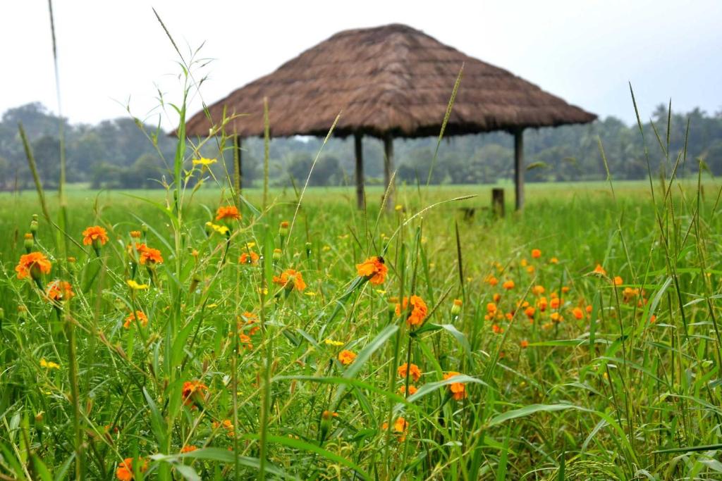 Green Heritage Holiday Resort room 2