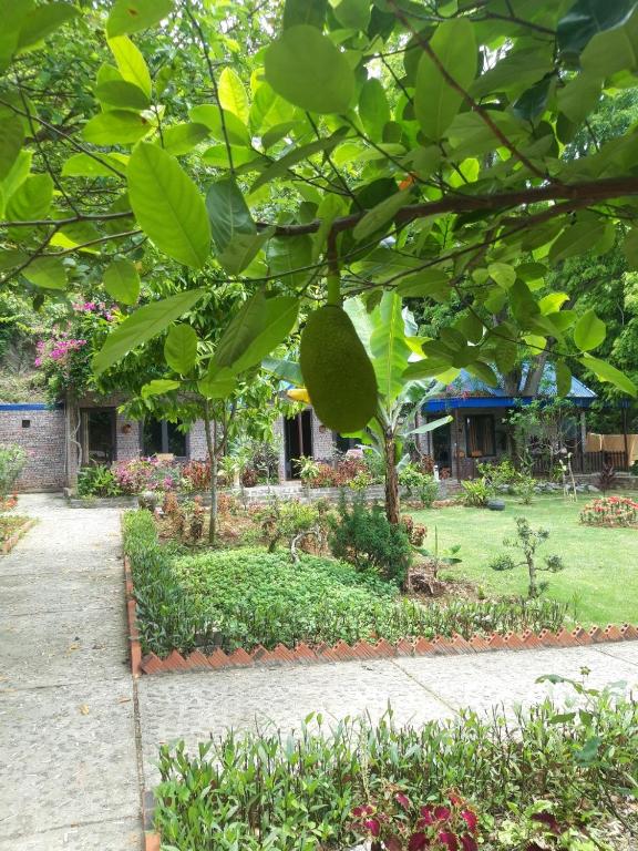 Green Homestay room 1