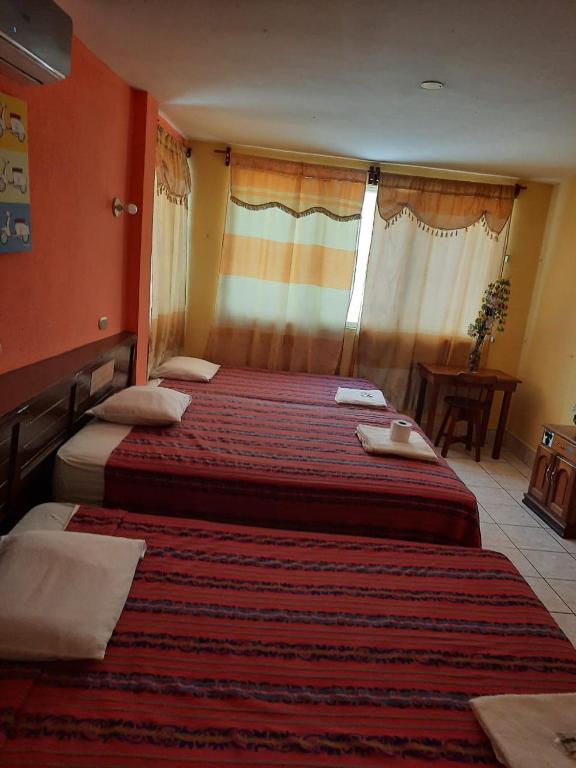 Green Monkey Hostel room 6