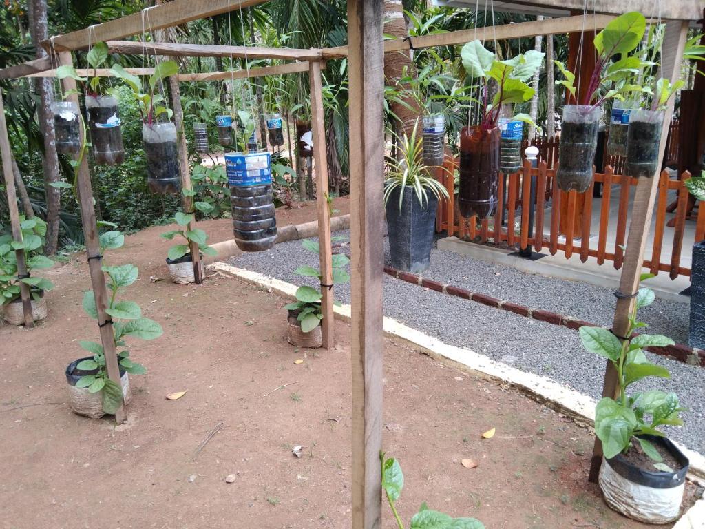 Green Spice Garden room 4