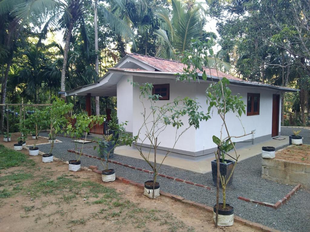 Green Spice Garden room 6