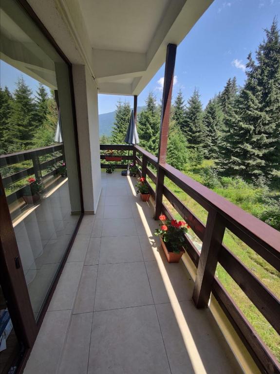 Green Studio Predeal room 2