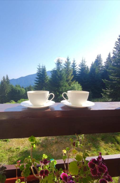 Green Studio Predeal room 6