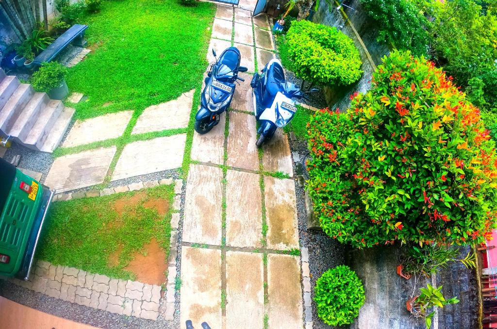 Grizzly House room 4