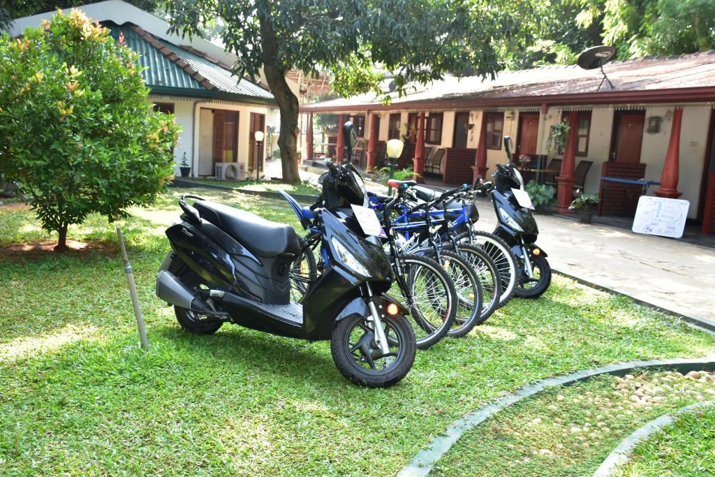 Happy Elephant Resort Udawalawe room 6
