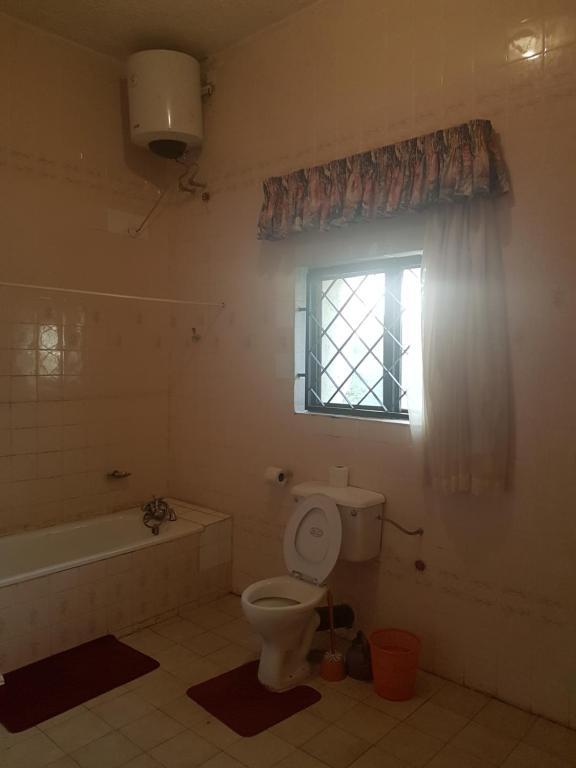 Hatfield Hotel and Suites room 4