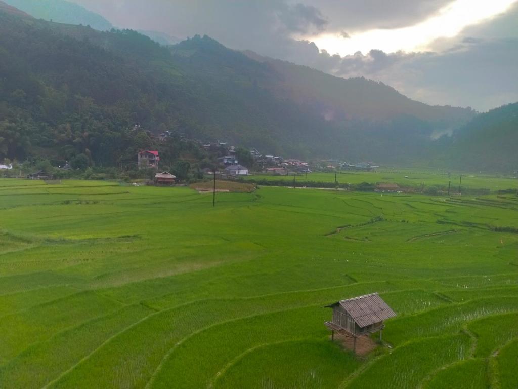 Homestay Hoa Sơn Tra room 4