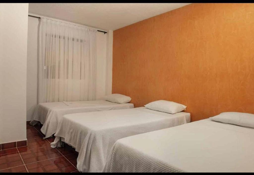 Hostal Campestre Vida Tranquila room 3