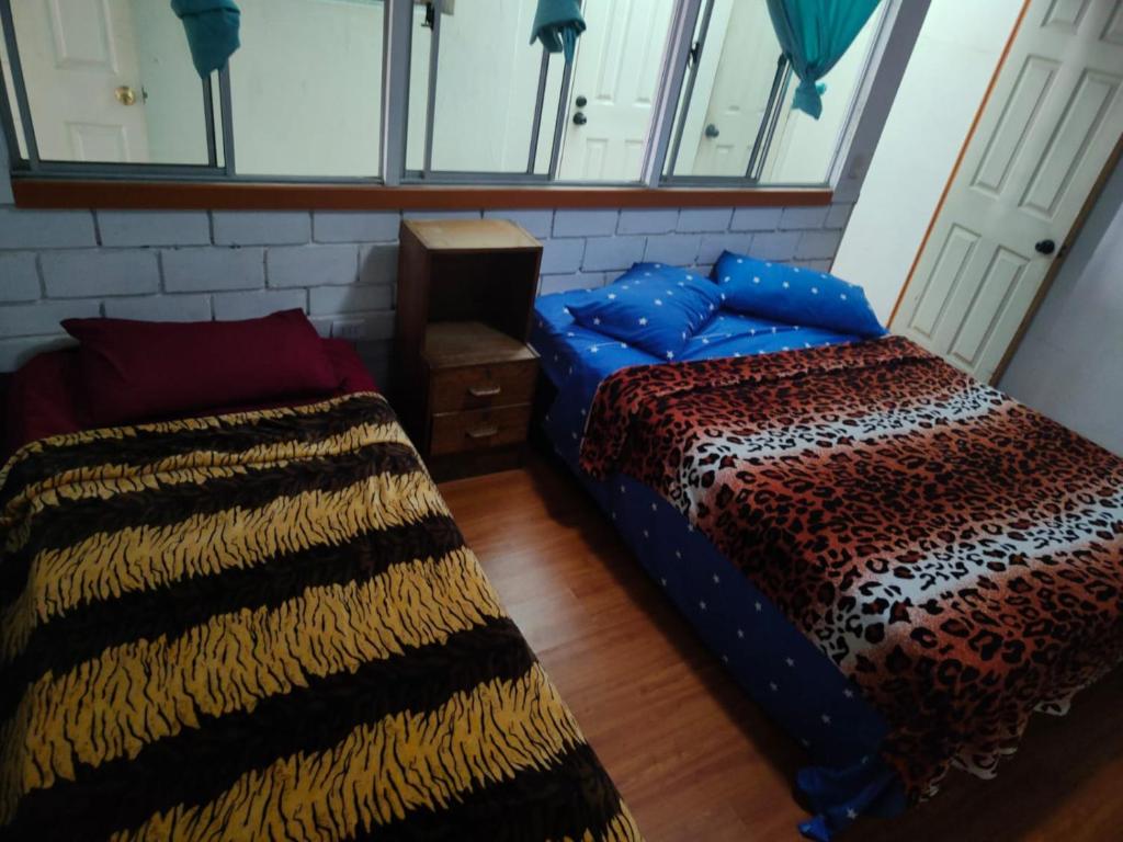 Hostal Casa Blanca room 4