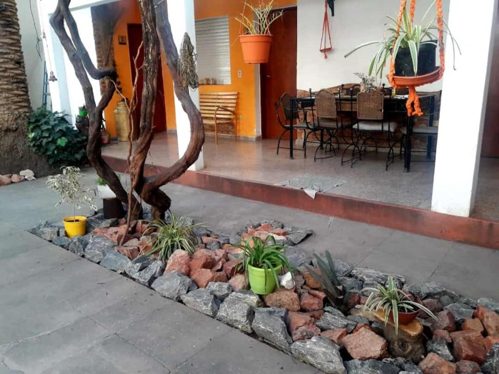 Hosteria Shekinah room 2