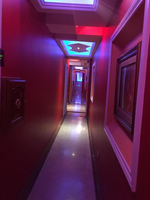 Hotel Gilda room 6