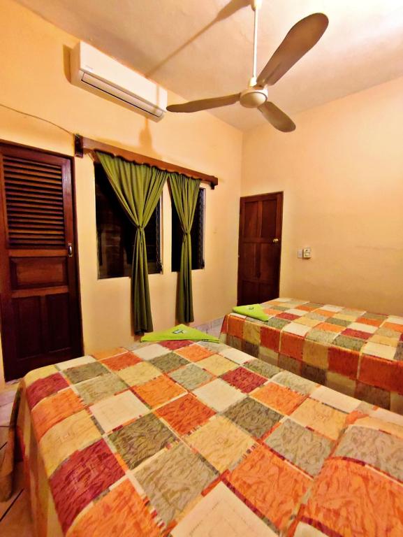 Hotel La Jungla room 2