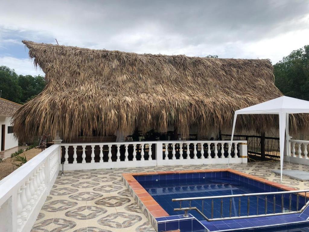 Hotel Los Laureles room 5