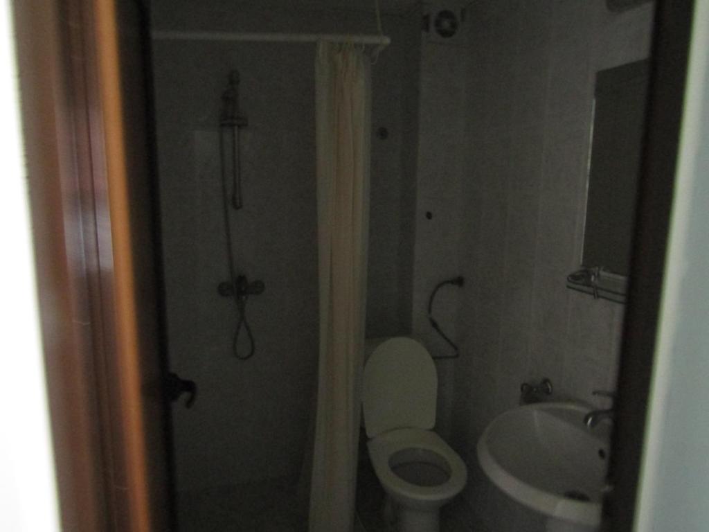 Hostel Papagal room 1