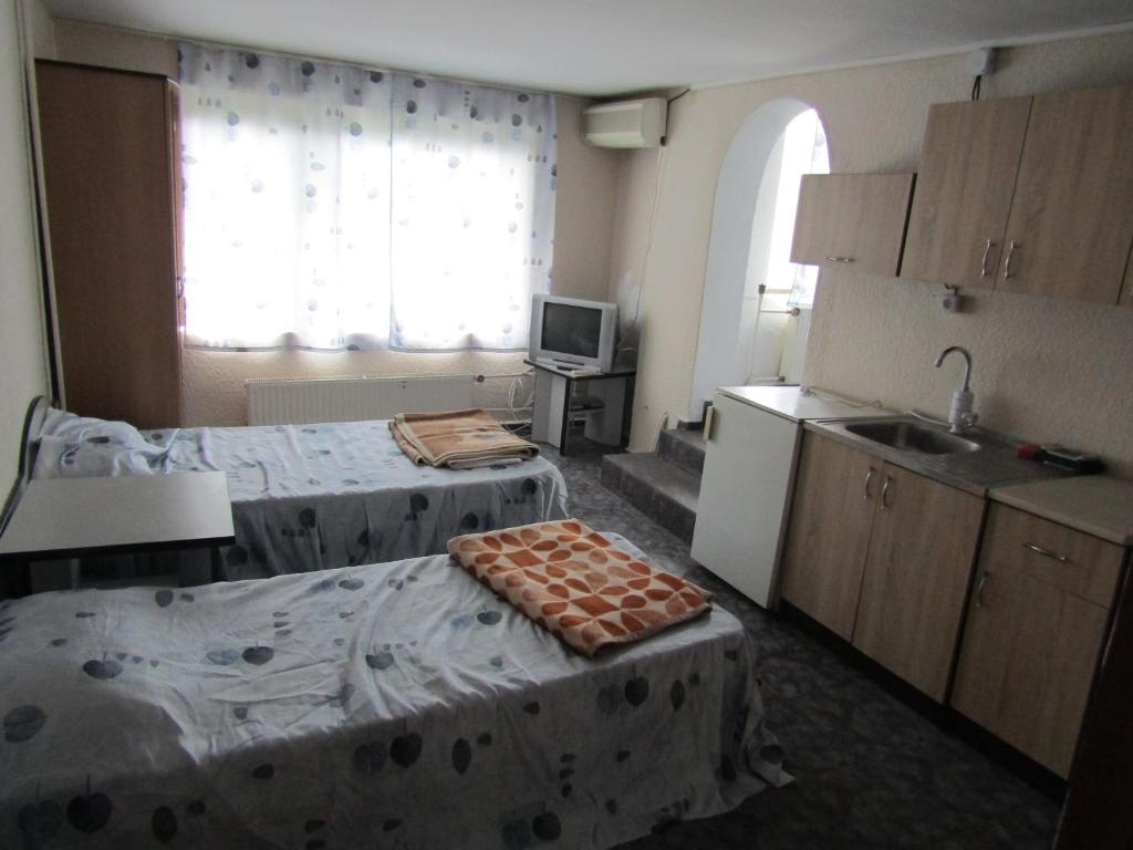 Hostel Papagal room 2
