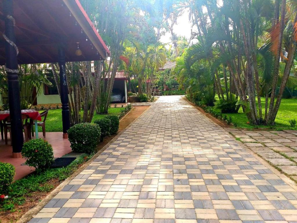 Hotel TK Green Garden room 1