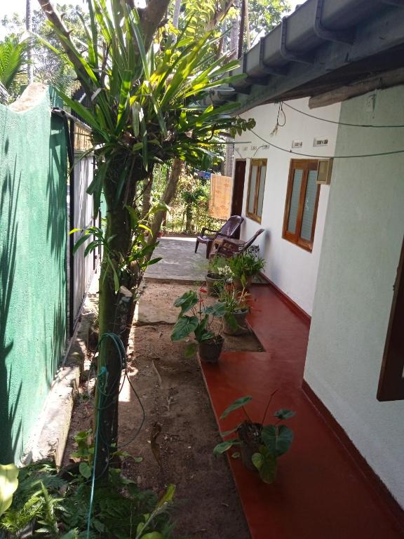 Jayaweera House room 6