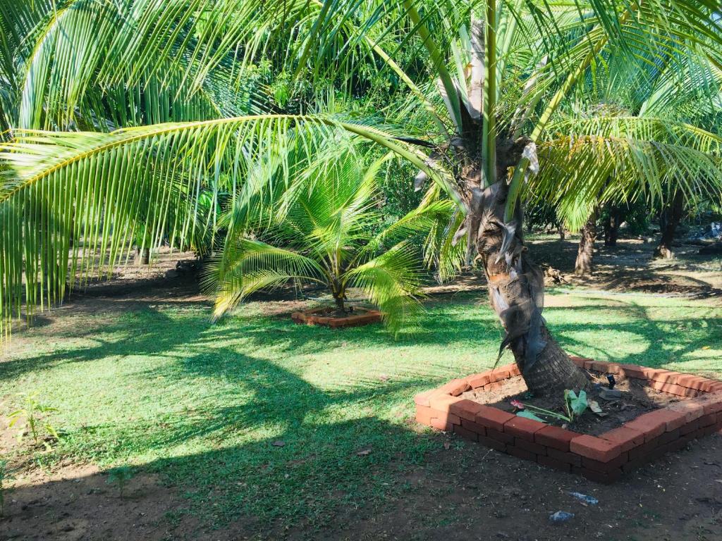 Jaye Eco Lodge room 6