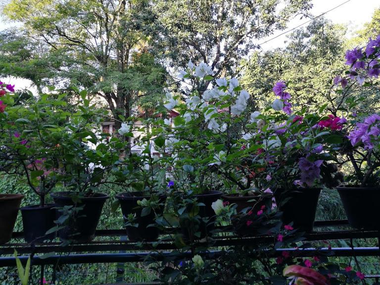 Kandy Inn Madugalle’s Family Guest House room 4