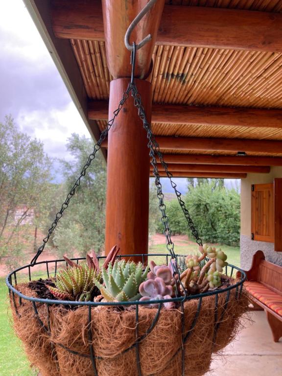 KARUSA’s Farm Cottage room 5