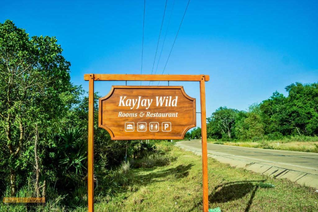 KayJay Wild room 1