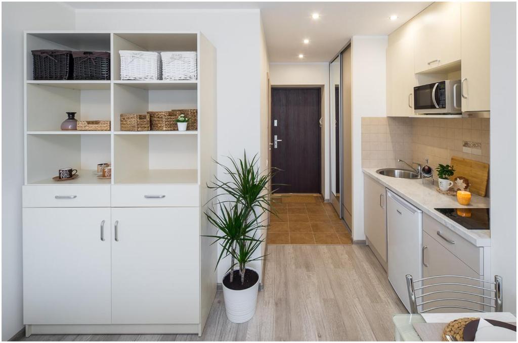 Klijanu street design studio room 2