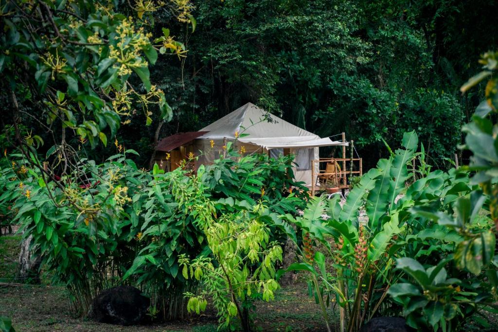 La Fontana Naturaleza y Vida Glamping room 1