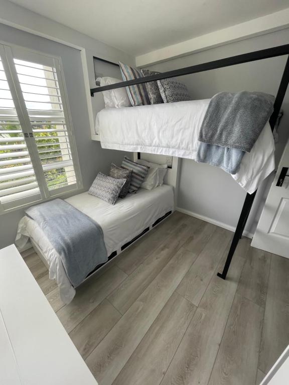 Laridae room 6