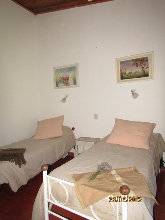 Las Magnolias room 5