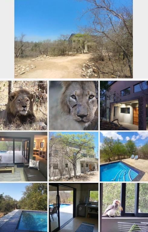 Lionsview Private Lodge room 3