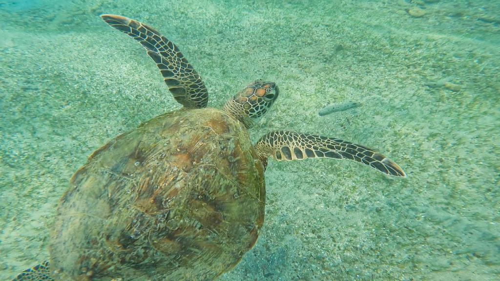 B&B Little Angels room 4