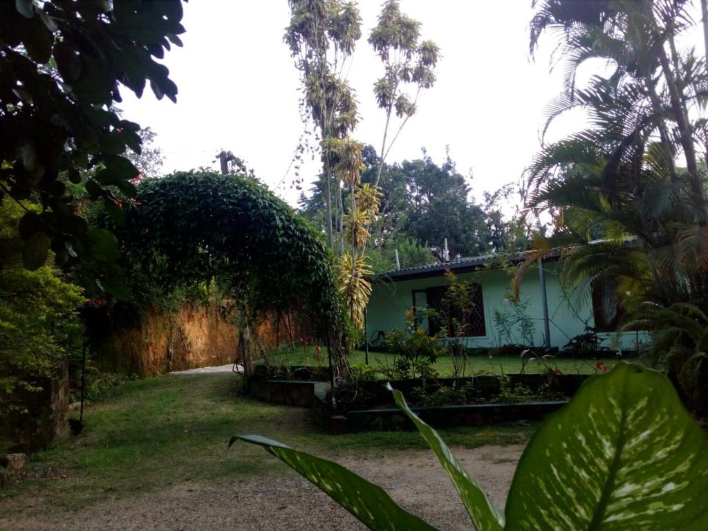 Lizzie Villa Guest House room 6