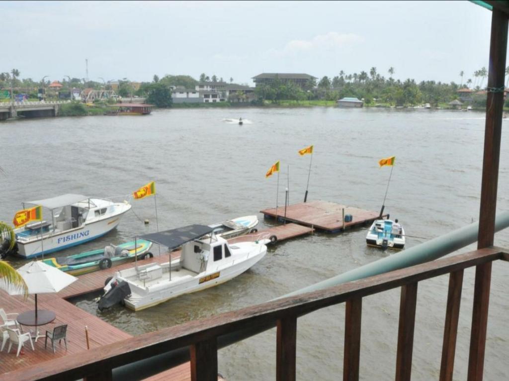 Luthmin River View room 2